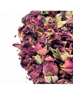 Tee-Rosen (Rosa L.)