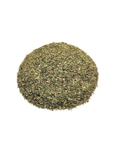 Pfefferminze Pflanzen (Mentha x piperita L.)