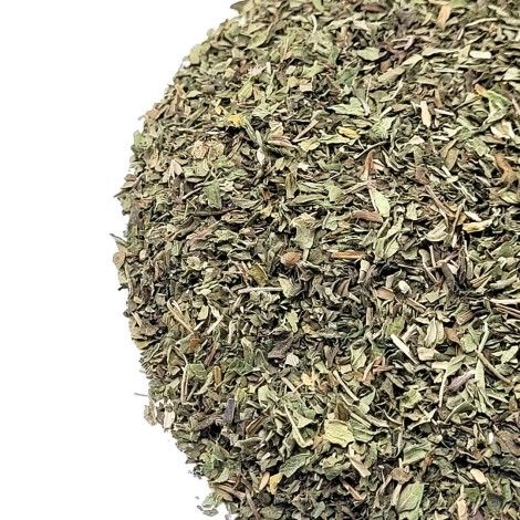 Pfefferminze Pflanzen (Mentha x piperita L.)