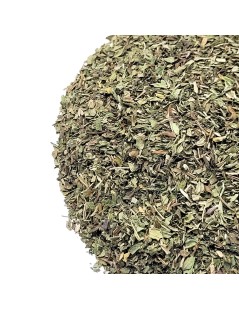 Pfefferminze Pflanzen (Mentha x piperita L.)