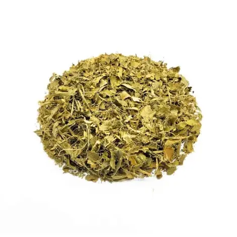 Hojas de Limonero (Citrus limon L. Burm)