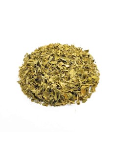 Hojas de Limonero (Citrus limon L. Burm)