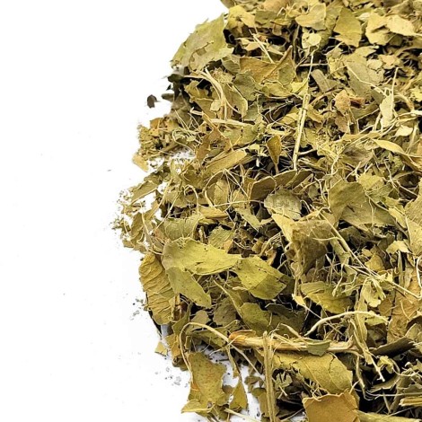 Lemon Tree Leaves (Citrus limon L. Burm)