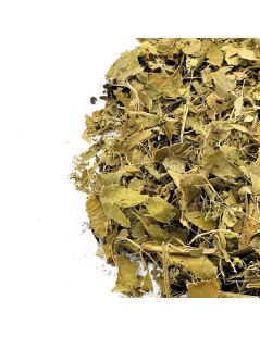 Feuilles de Citronnier (Citrus limon L. Burm)