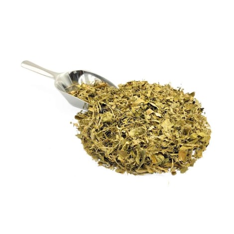 Limoeiro, Folhas (Citrus limon L. Burm)