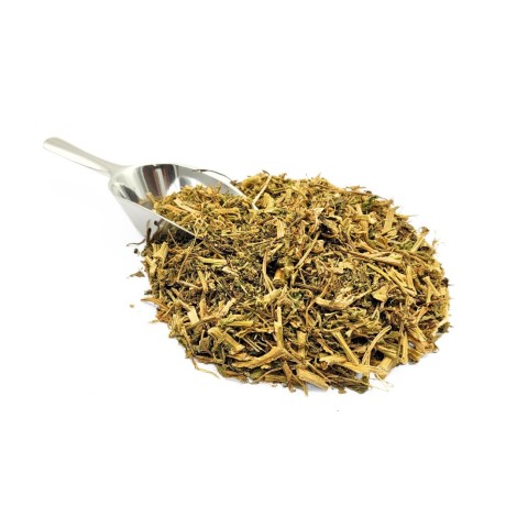 Thé du Mexique (Chenopodium ambrosioides L.)