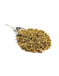 Tè di Erbe Formigueira (Chenopodium ambrosioides L.)