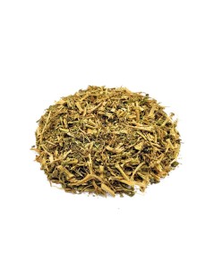 Thé du Mexique (Chenopodium ambrosioides L.)