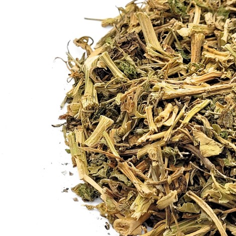 Thé du Mexique (Chenopodium ambrosioides L.)