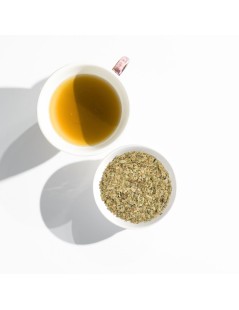 Boldo dal Cile, foglie (Peumus Boldus)