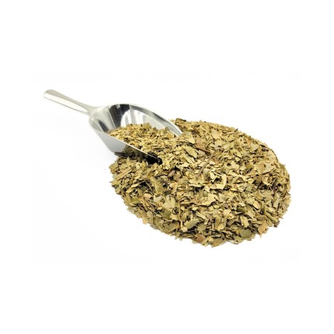 Boldo do Chile, Folhas (Peumus Boldus)