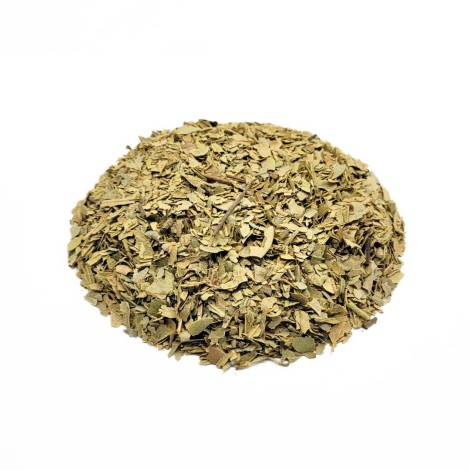 Boldo do Chile, Folhas (Peumus Boldus)