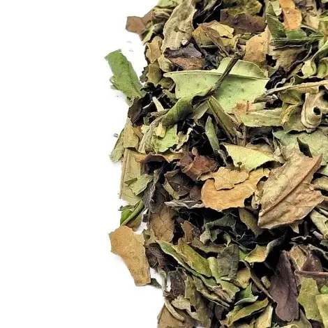 Tè Bianco Pai Mu Tan