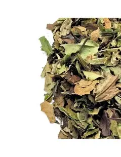 Tè Bianco Pai Mu Tan
