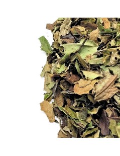 Té Blanco Pai Mu Tan