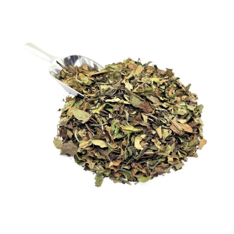 Tè Bianco Pai Mu Tan