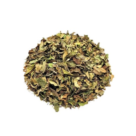 Tè Bianco Pai Mu Tan