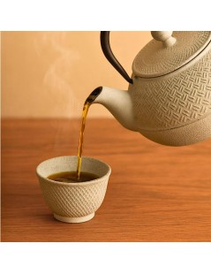 Teiera in Ghisa Bianco Tenshi - 700ml