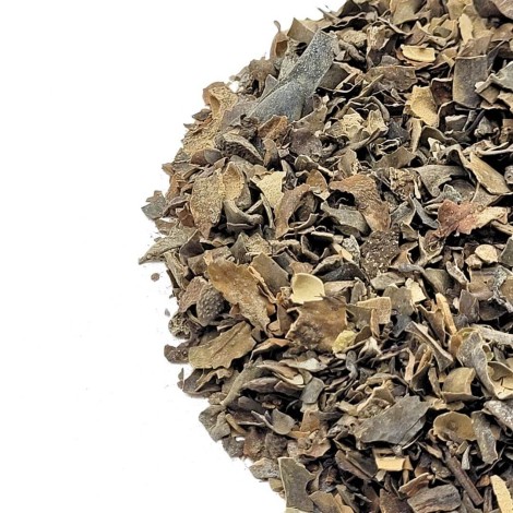 Tè alle Alghe Marine (Fucus Vesiculosus L.)