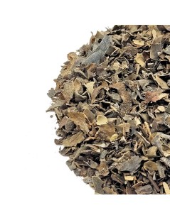 Seetang-Tee (Fucus Vesiculosus L.)