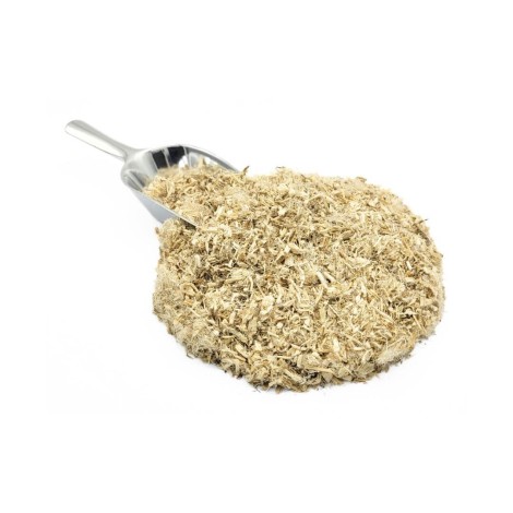 Eibischwurzel (Althaea officinalis L)