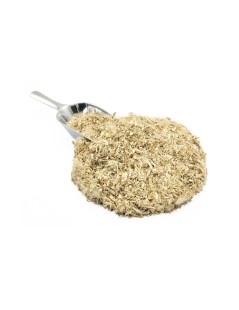 Eibischwurzel (Althaea officinalis L)