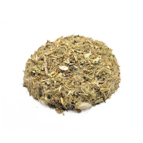 Blessed Thistle Herbal Tea (cnicus benedictus)