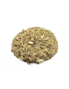 Cardo Santo, Planta (Cnicus benedictus L.)