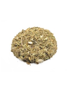 Heilige Distel (Cnicus benedictus L.)