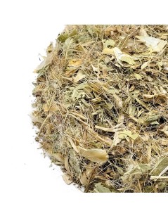 Blessed Thistle Herbal Tea (cnicus benedictus)