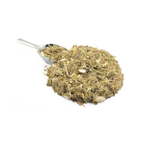 Blessed Thistle Herbal Tea (cnicus benedictus)