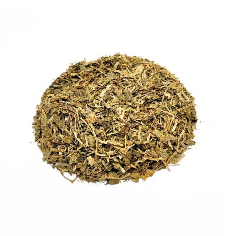 Gotu Kola Herbal Tea (Centella asiatica)