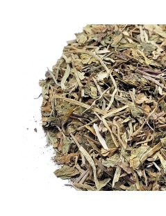 Gotu Kola Herbal Tea (Centella asiatica)