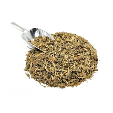 Gotu Kola Herbal Tea (Centella asiatica)