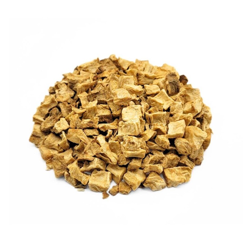 Raíz de Achicoria (Cichorium intybus)