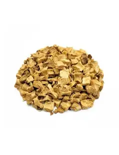 Raíz de Achicoria (Cichorium intybus)