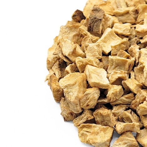 Chicória, Raiz (Cichorium intybus)