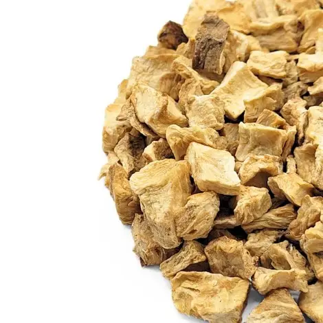 Raíz de Achicoria (Cichorium intybus)