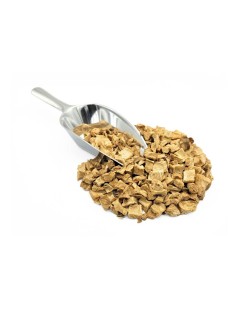 Zichorienwurzel Tee (Cichorium intybus)