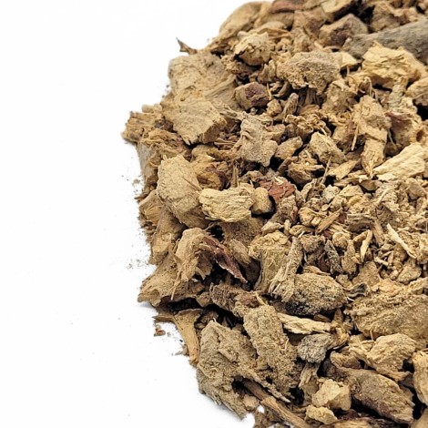 Galanga Root (Alpinia galanga L.)