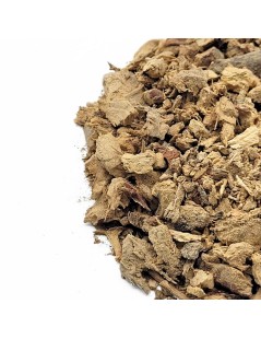 Galanga, Raiz (Alpinia galanga L.)