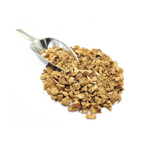 Galanga Root (Alpinia galanga L.)