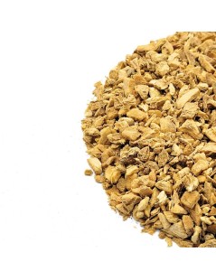 Gengibre Raiz em pedaços (Zingiber officinale)