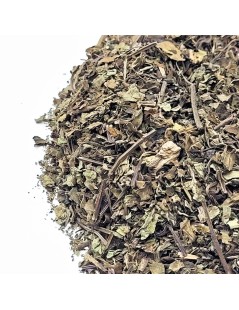 Java, Folhas (Orthosiphon aristatus)