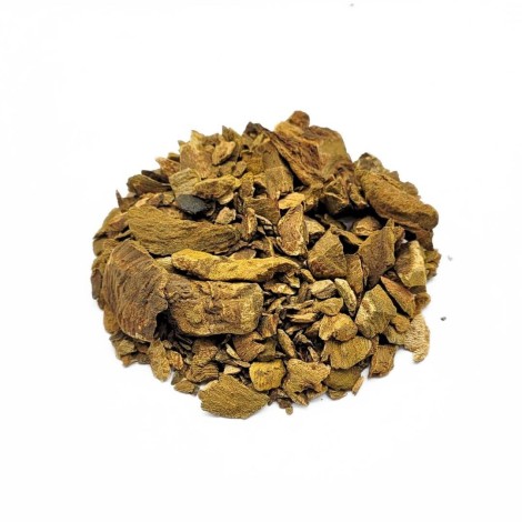 Rabarbaro, Radice (Rheum palmatum L.)