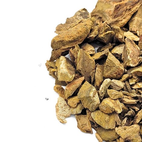 Rhabarber Wurzel Tee (Rheum palmatum L.)