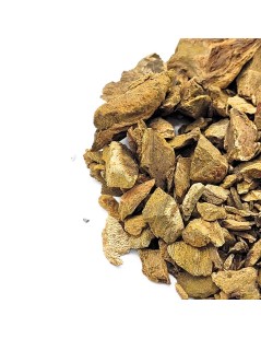 Rhubarb, Root (Rheum palmatum L.)