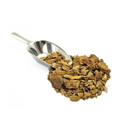 Rhubarbe, Racine (Rheum palmatum L.)