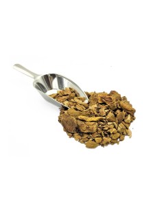 Rhubarb, Root (Rheum palmatum L.)