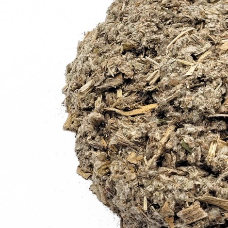 Alcachofra, Planta (Cynara scolymus)